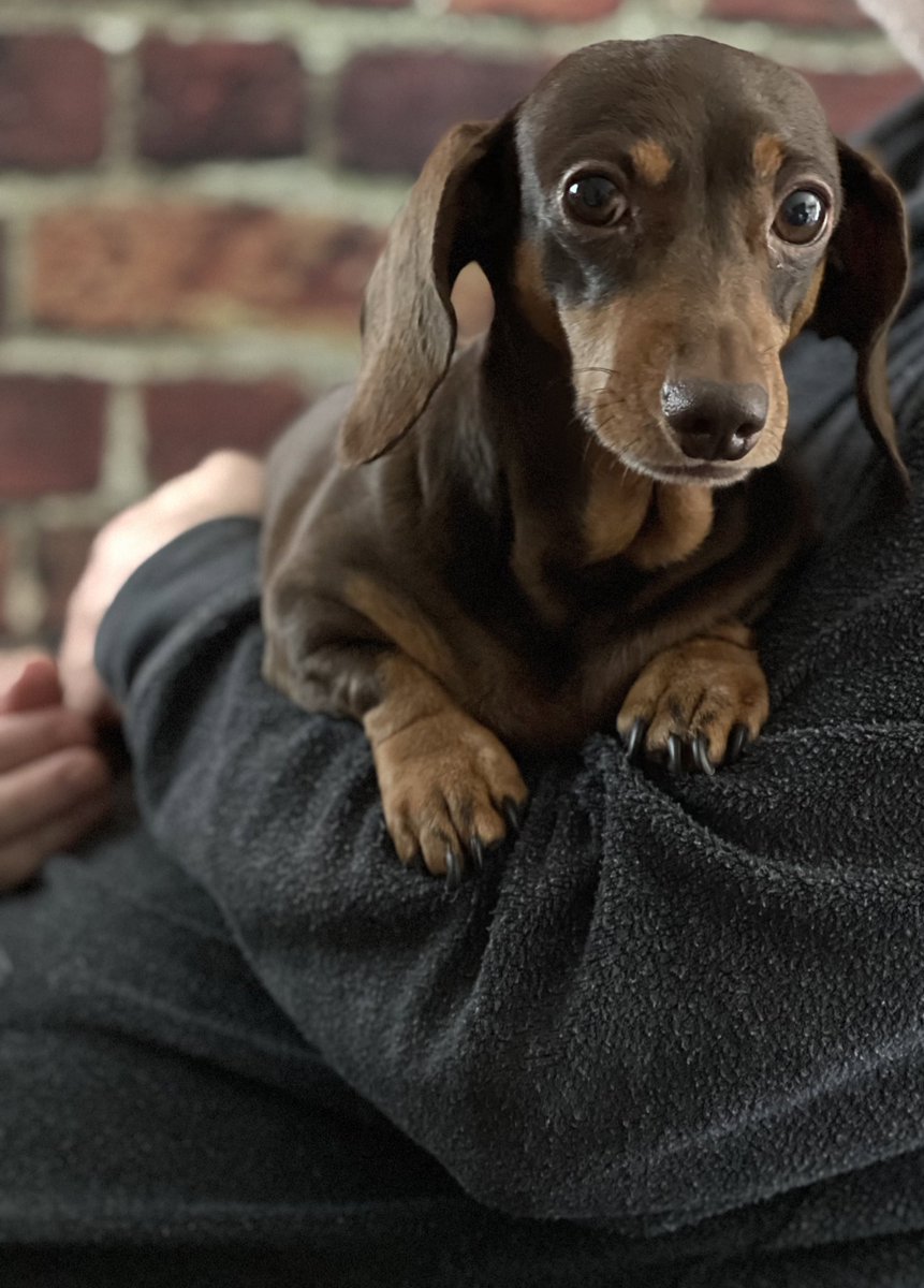 Janey Godley tweet media