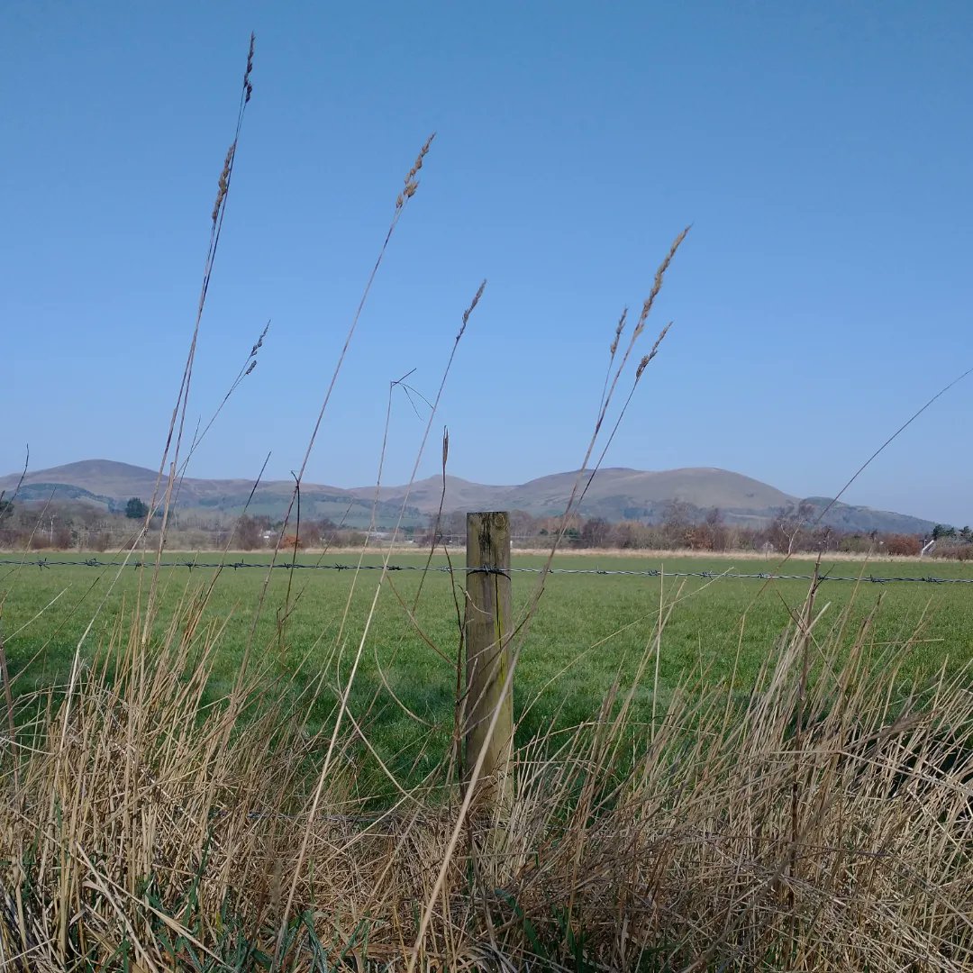 philipianhall's tweet photo. If You Set Off When I Did In Short Sleeves Then You're Either A) An Idiot Or B) A Lot Harder Than Me - And I'm Obviously Hard As Fuck Ahem
#scotland #edinburgh #cycling
#sundaymorning
#20miles #33km https://t.co/fvTjch9UA8