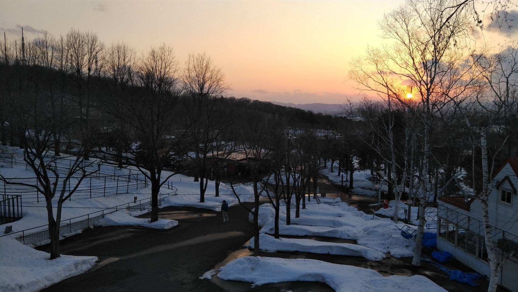 تويتر 旭川市旭山動物園 公式 على تويتر 園長より 本日の夕焼け 雪融けが進んでいます 旭山動物園 Asahiyamazoo 園長撮影 T Co Xriafzob3h