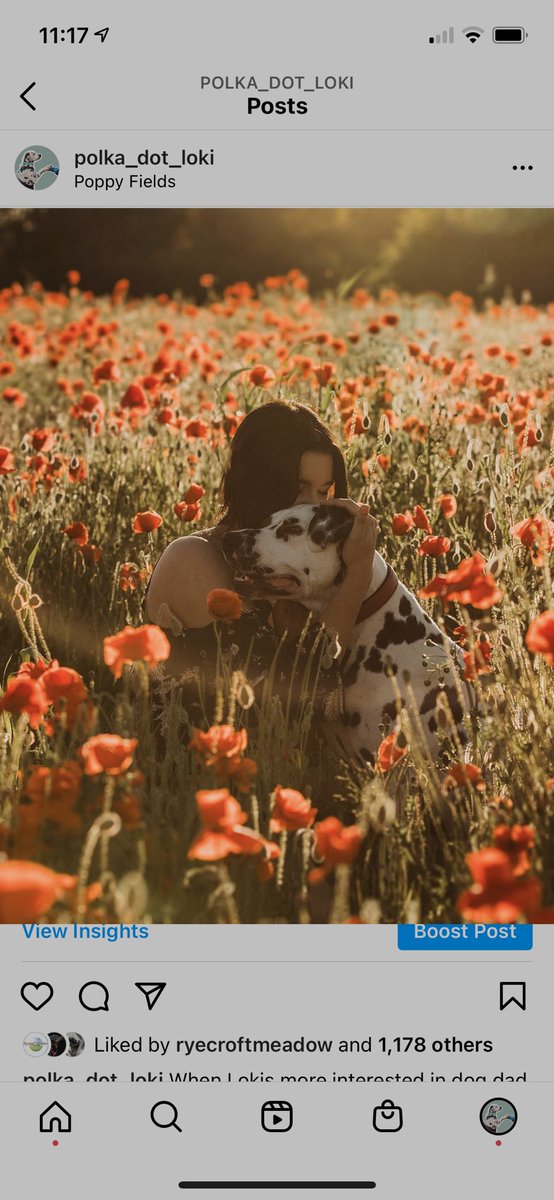 Happy #MothersDay #dogmum’s

#twitterdogcommunity #twitterdogs