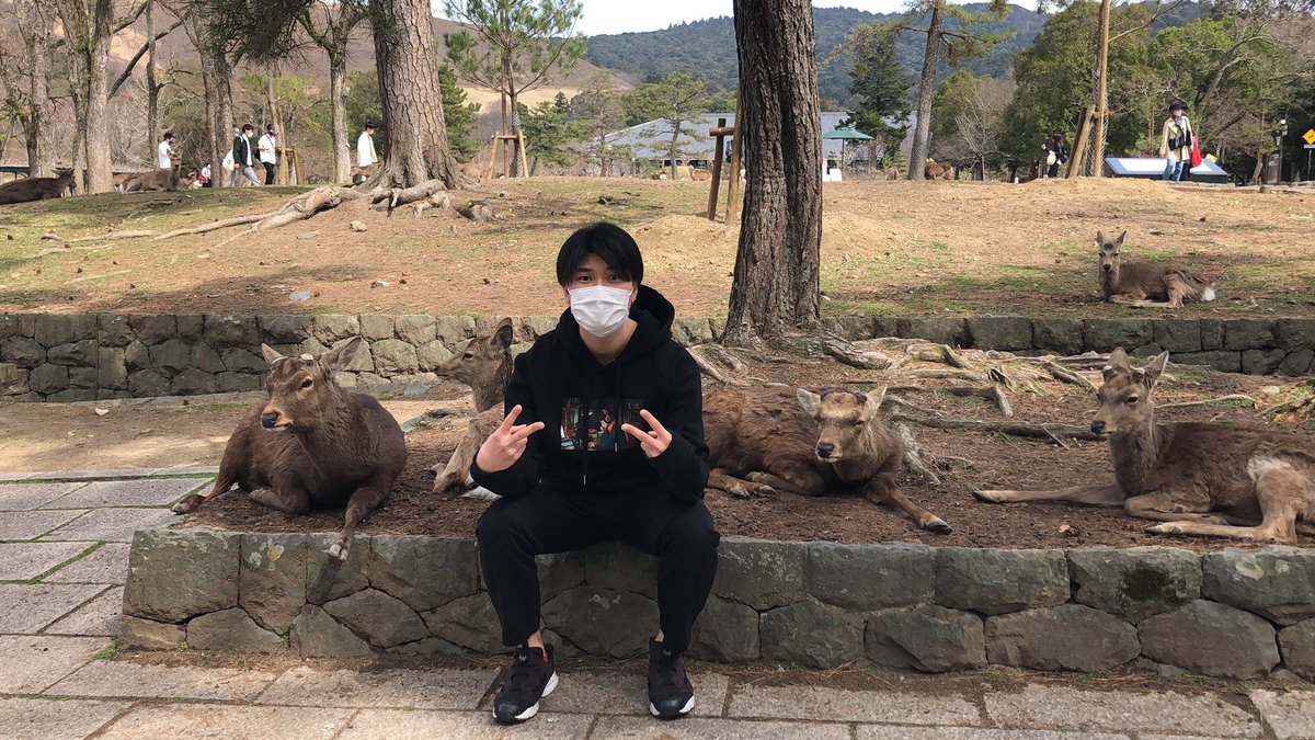 Daigo156's tweet photo. これは鹿と仲良くなれた山下 https://t.co/5hOcSZ6HJP