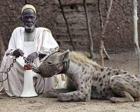 🧵 learning

Marehemu mfalme wa jamii fulani alikuwa na mbwa-mwitu kumi. Alizitumia kuwatesa na kuwala watumishi wake yeyote aliyekosea.

 Mmoja wa watumishi alitoa maoni ambayo yalikuwa mabaya, na mfalme hakuipenda kabisa. Kwa hiyo akaamuru mtumishi huyo atupwe kwa mbwa.