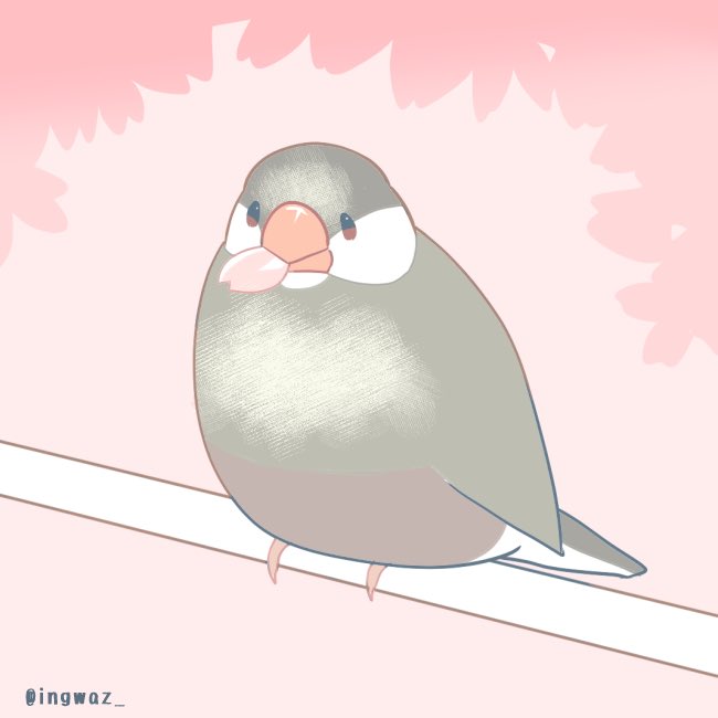 「🌸
#buncho #javasparrow #文鳥 」|文/ 新木南生のイラスト