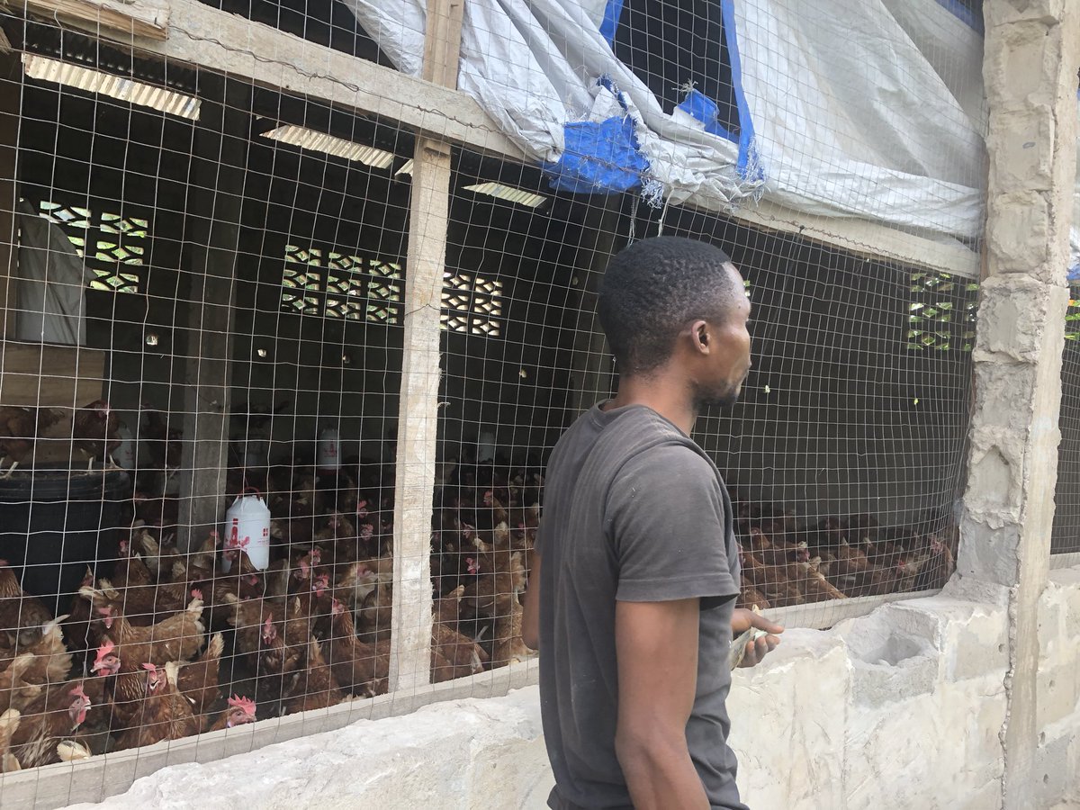 Elie Lomboto🇨🇩🐓 tweet media