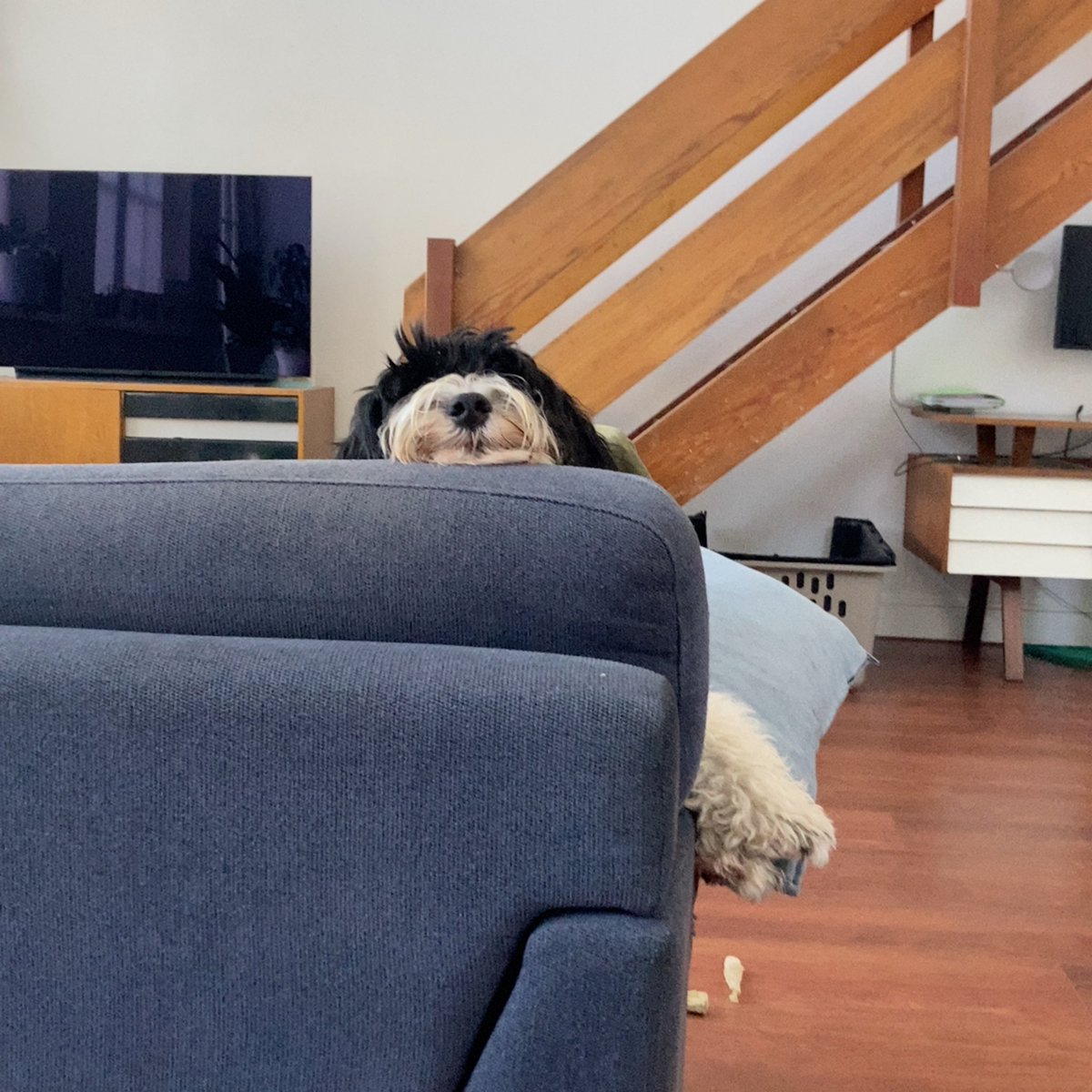 stef_kors's tweet image. “Stef you’re taking too long! Let’s go to the park already!”