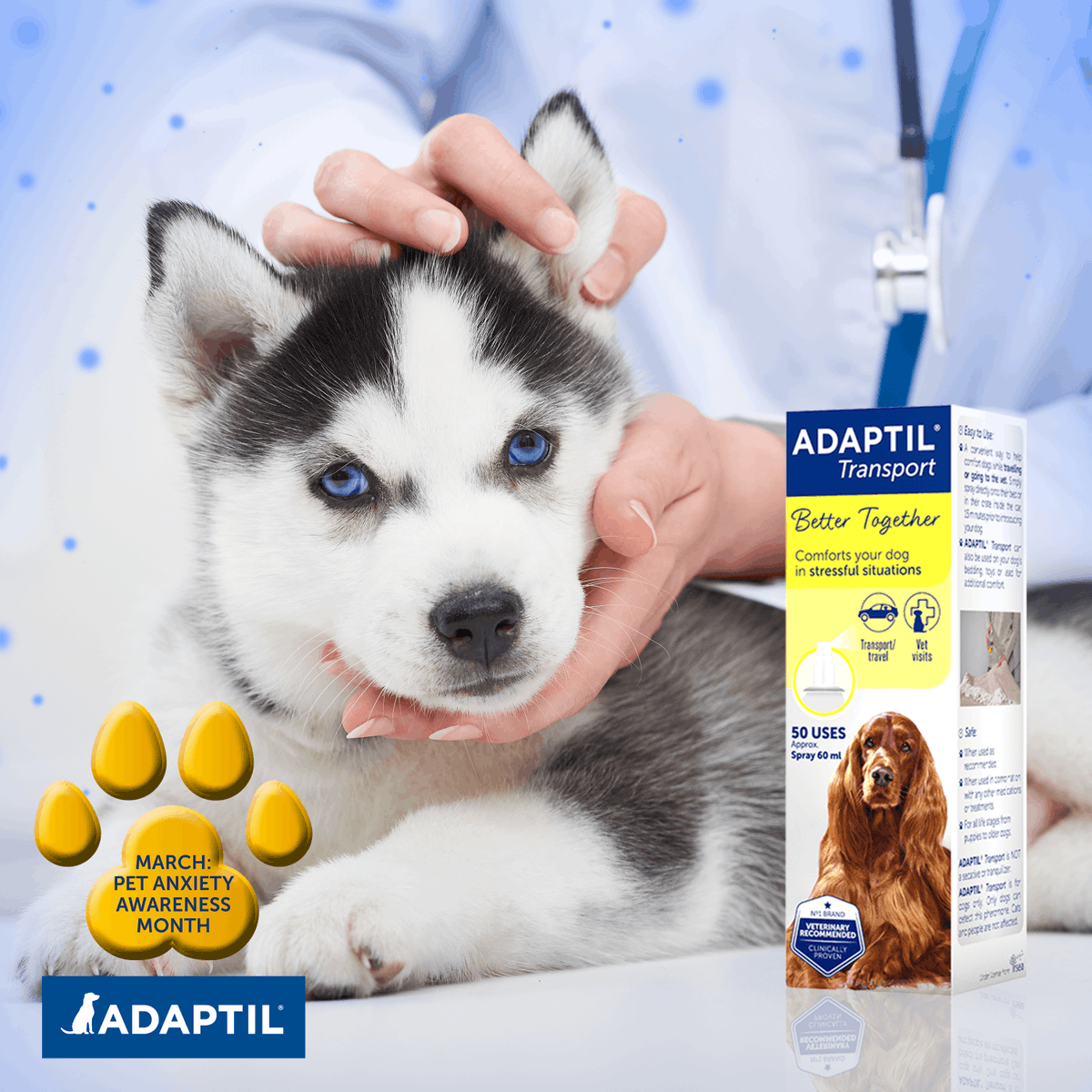 Adaptil's tweet photo. It's no wonder our pets can be anxious about visiting the vets! It usually involves a strange carrier, a noisy car journey and being poked by a stranger.

Read our advice to make vet visits easier for you and your dog ➡️ https://t.co/JLvRVhVzHu https://t.co/Pi9grUqqoj