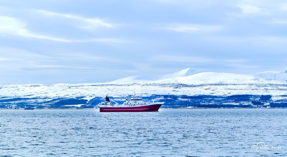 isaperez99's tweet photo. #lofoten Mismo denominador común. Fotos impresionantes. https://t.co/mm4mg8YuqJ