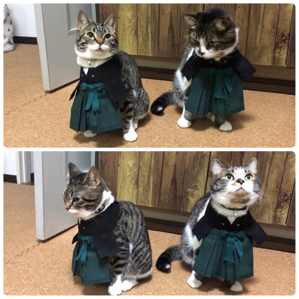 ハンドメイド ＊ ねこちゃんスタイ n1