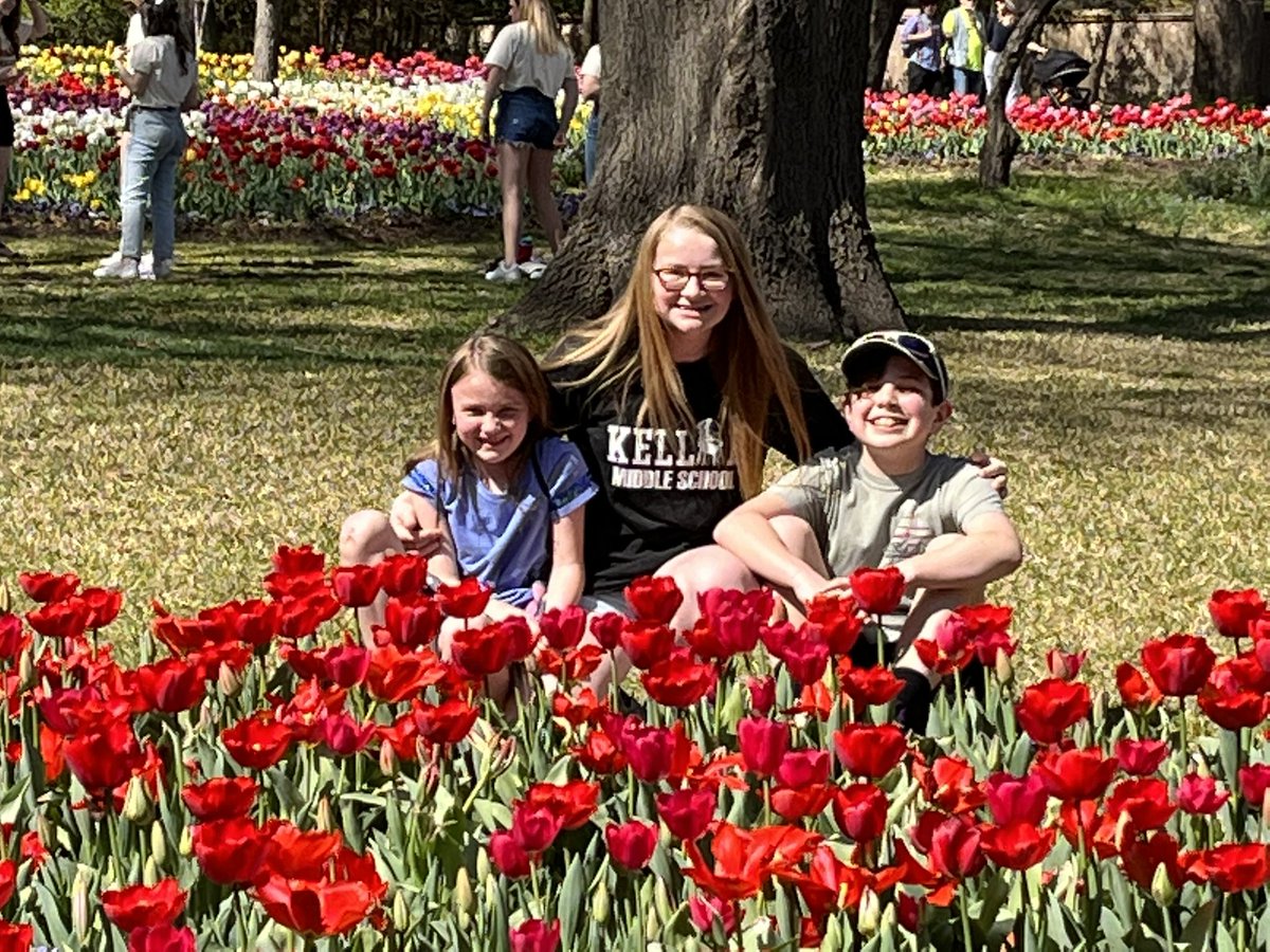 Sam Anderson tweet media