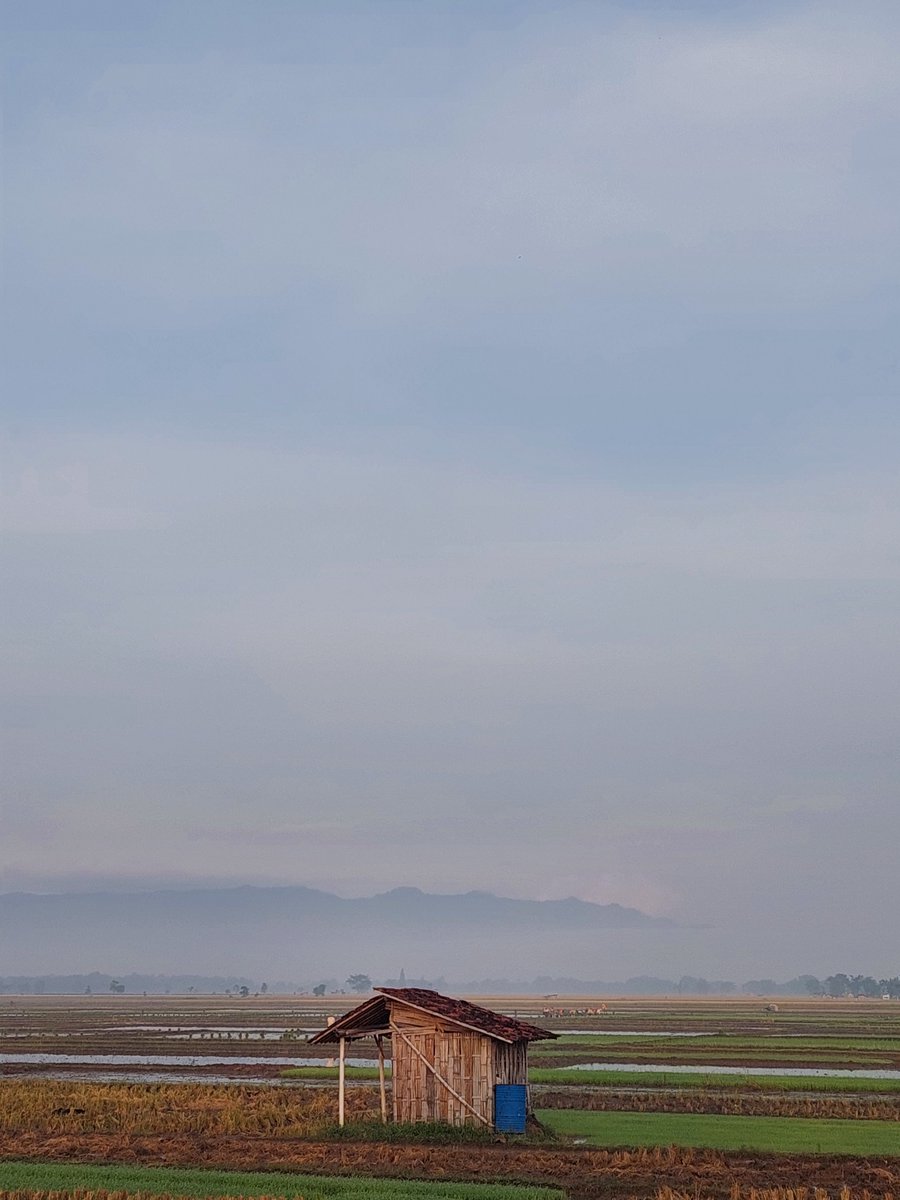 abcdika__'s tweet photo. @piokharisma Random shot using A52.
#SetorFotoPio https://t.co/kKxa1Yt32w