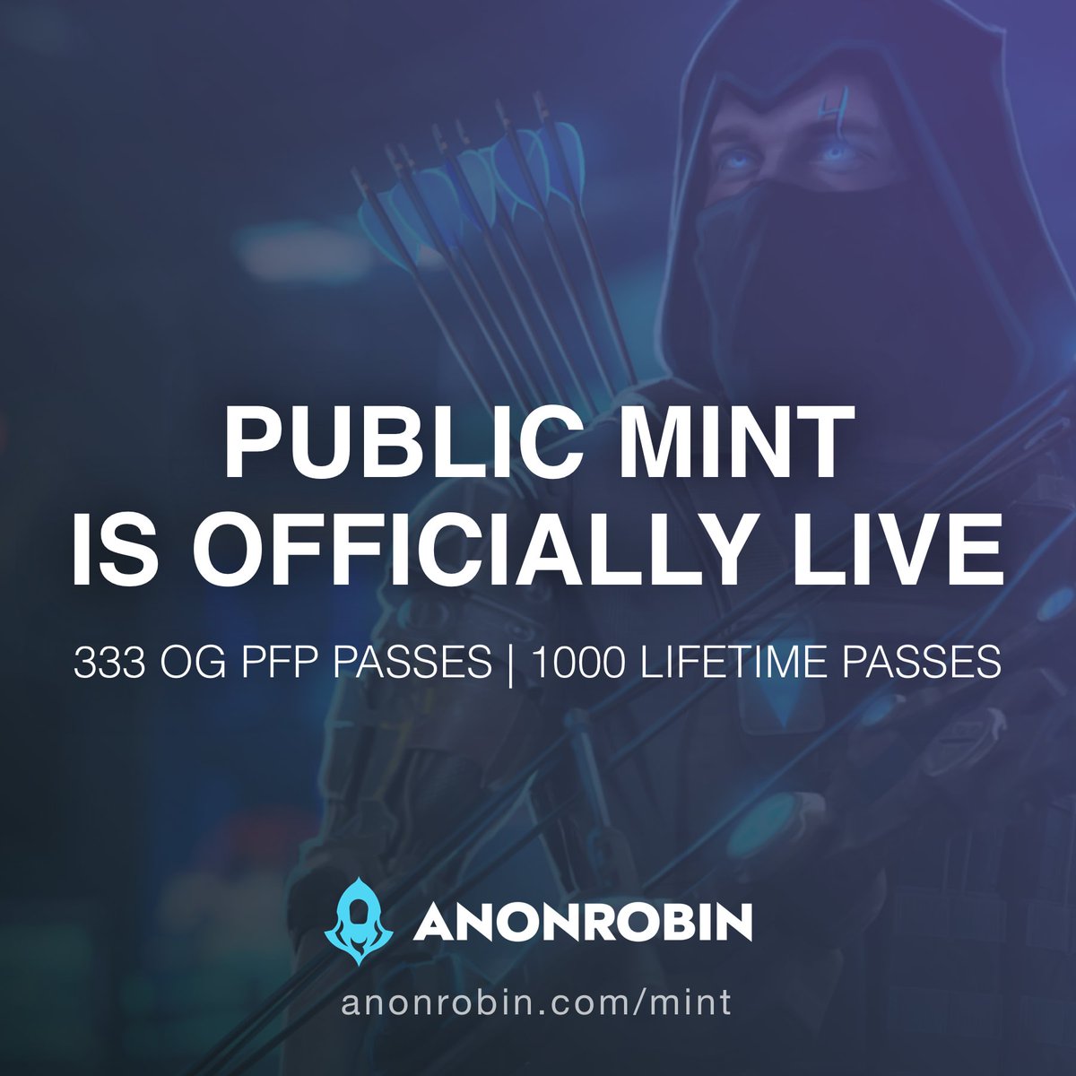 Anon Robin tweet media