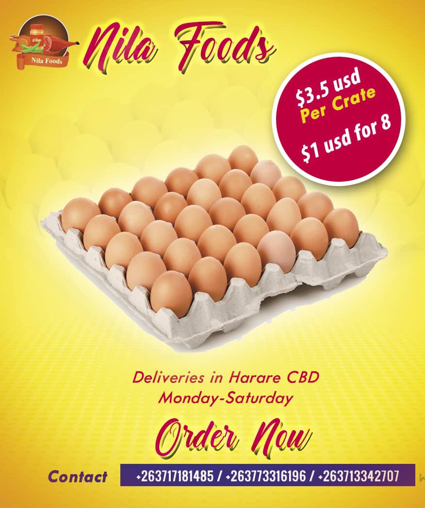 real_designers's tweet photo. For all your farm fresh eggs at the lowest prices, we deliver in Harare CBD mon to Fridays place your orders on 0773316196 @redmarketsunday @iMisred #redmarketsunday https://t.co/azZOT3xzUM