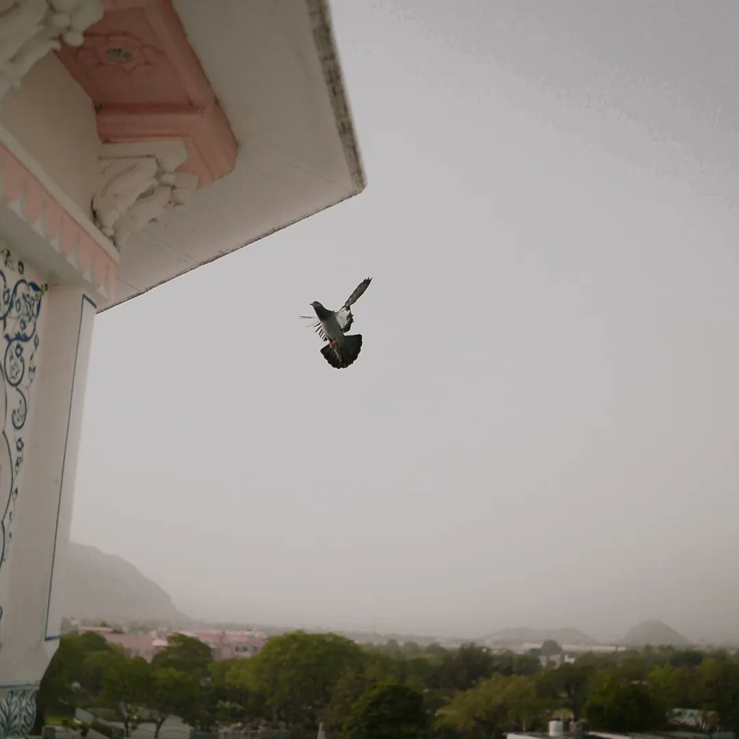 heykarann's tweet photo. Good Evening #NFTCommunity , 
Hope you are doing Great, been busy In jaipur, soon will be Maintaining Consistency here. 
#nft #NFTartist #NFTCollection #opensea #nftphotography https://t.co/VfnHbQG0Js