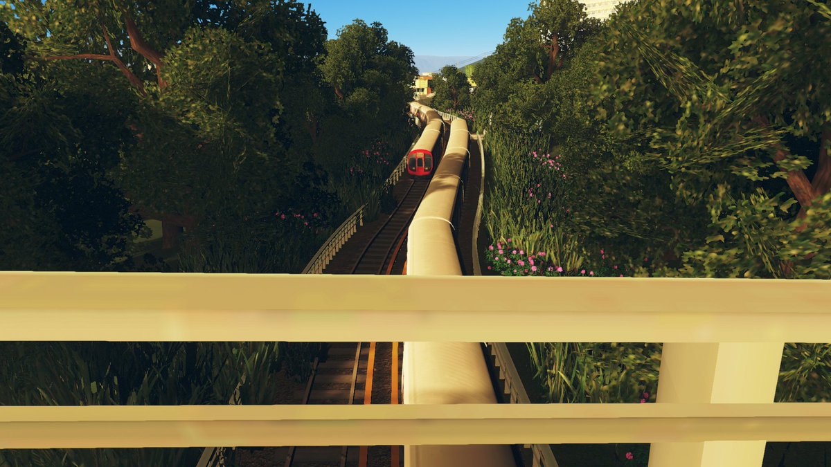 TfhTransport's tweet image. 10/10 photo!

.Taken by - Todd Adams