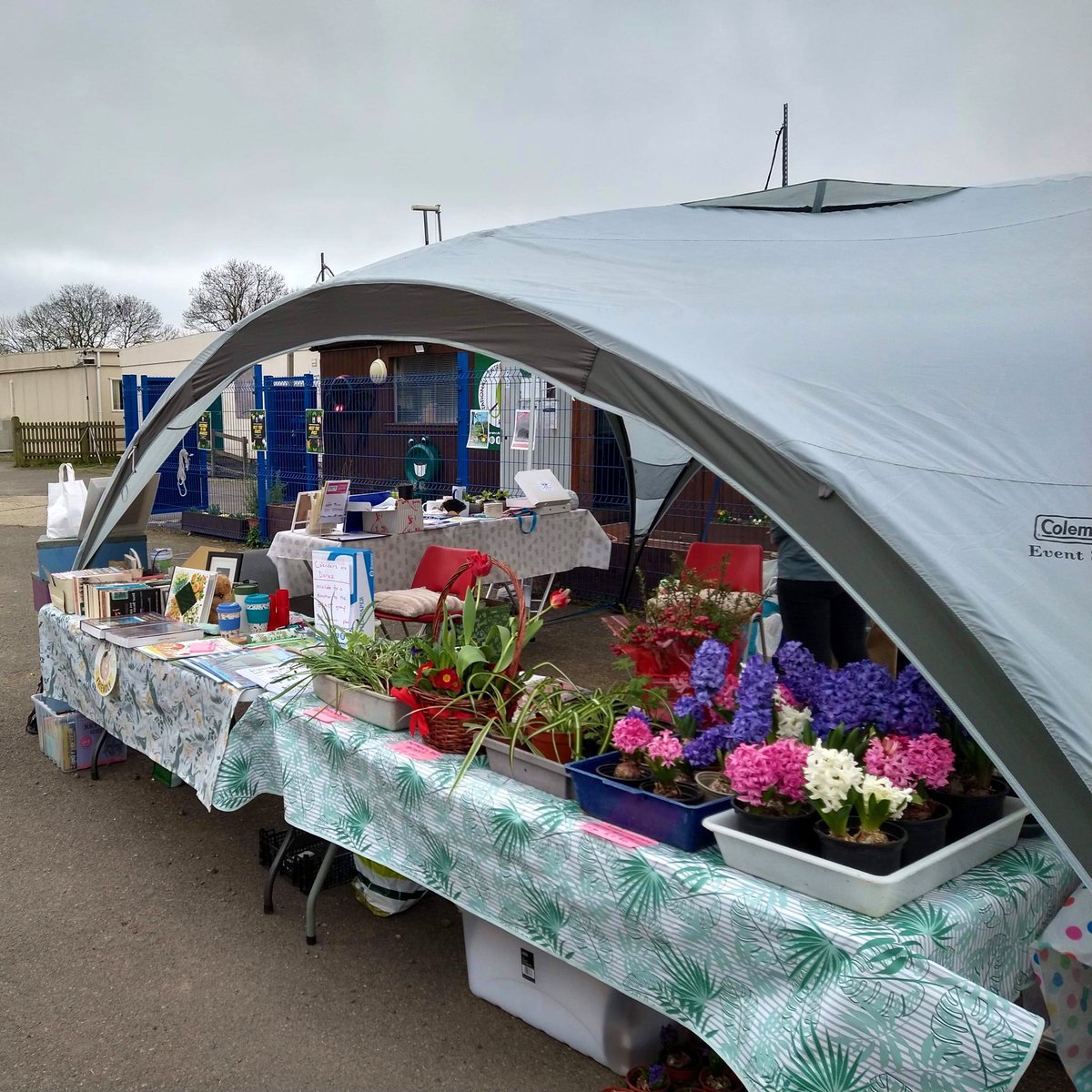 Come and say hello to Hadlow Hedgehogs and talk all things hedgehog at the Hadlow College Lambing weekend today. We’re with our local rescue Holborough Hedgehogs by the NCRW. <a href="/HogFriendly/">Hedgehog Friendly Campus</a> <a href="/Hadlow_College/">Hadlow College</a> <a href="/NCRWReptile/">National Centre for Reptile Welfare</a>