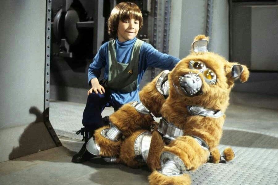 JBMEquiFarms's tweet photo. @MaryC94116309 @KimHinesSN Muffit for now...which will end up being a nickname if I ever figure out a real name 😂🤣
(#Muffit like from the old version of #BattlestarGalactica because... I'm old enough to know it 🤣😂🤣) https://t.co/fq5FIX8t8X
