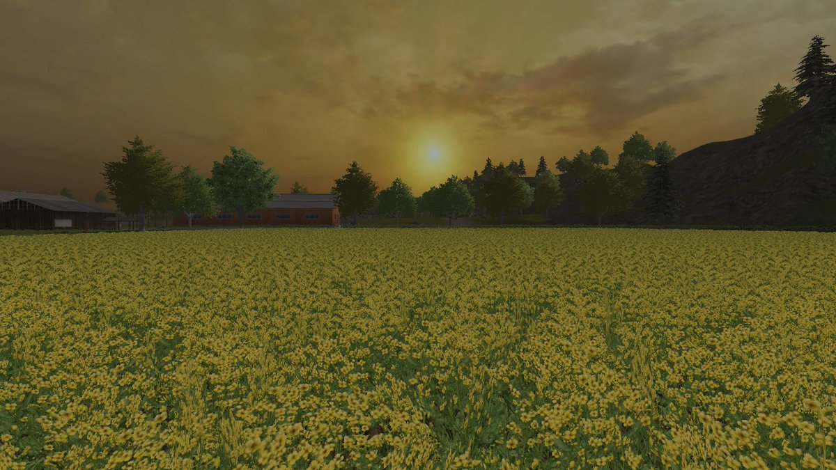 BKNation3's tweet photo. having fun in the canola fields on Hagenstedt. Need to replenish the silos you know
#FS2013 #FSChallenge https://t.co/aFm3doXV7p