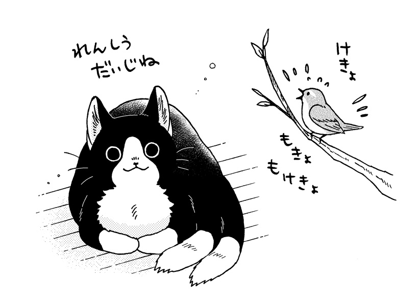 ねこまたと はるがきた🐱🐥 