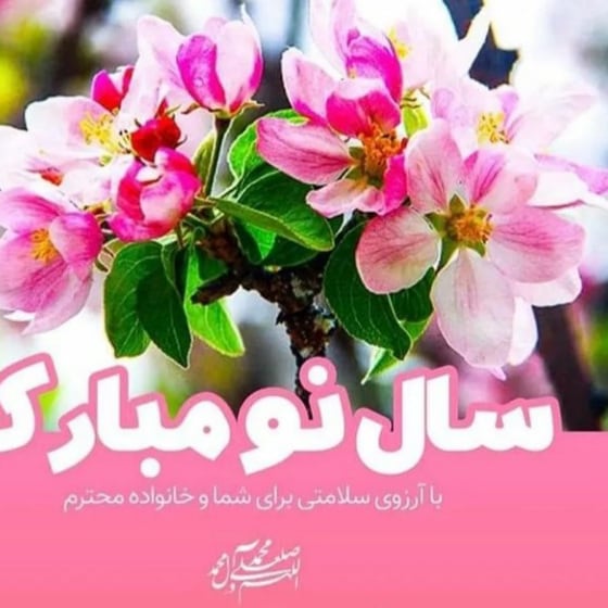 soltan_joia's tweet photo. گر چه در افغانستان امسال از برکت چند تا ملا  و مولوی نوروزی وجود ندارد  اما به عنوان فرهنگ قدیم  میگویم نوروزی تان  مبارک وهر روز تان نوروز https://t.co/KQcUMCf44Y