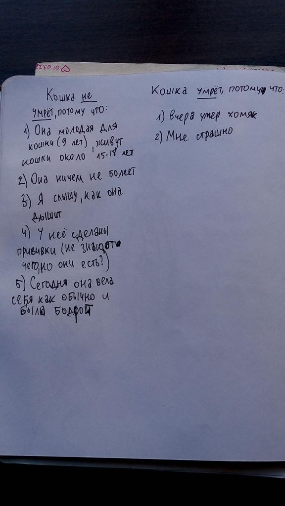 teatuffet's tweet photo. @sloth_palaces Я перестала видеть смысл своего существования
То, что ниже, я писала в 3 часа ночи https://t.co/O1VQLvyMBh