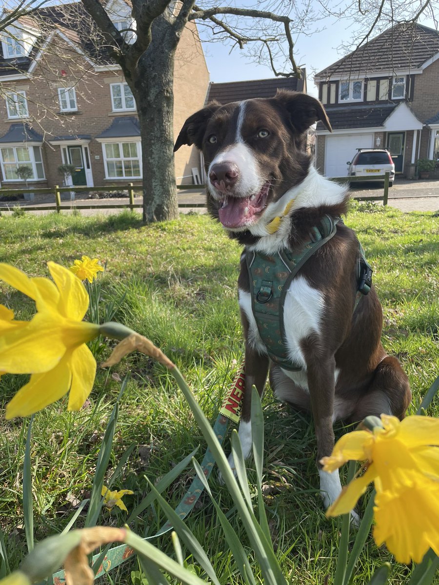 Murphy & Fly tweet media