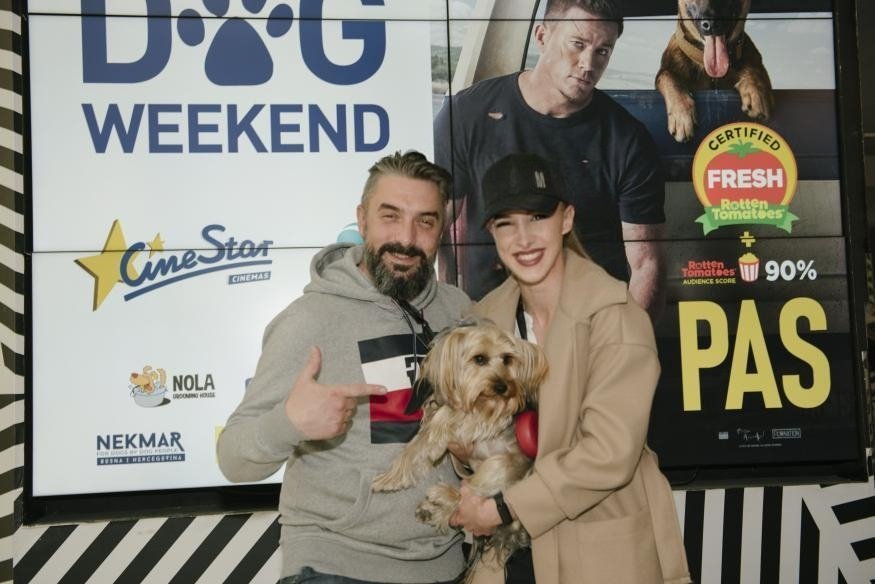 DanijelD11's tweet photo. Sjajno zezanje na "dog weekend-u"!!!
#dogweekend #cinestar #cinestarbih #yorkie #party #saturdays #chillin 🐶 https://t.co/BqZVmUVn9v