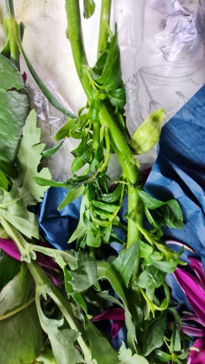 redjemred's tweet photo. WOW!! @Tesco these are definitely NOT your finest! My son is heartbroken! Used pocket money that he has saved this morning to get me these! Shocking quality! https://t.co/hAd0NzLnWf
