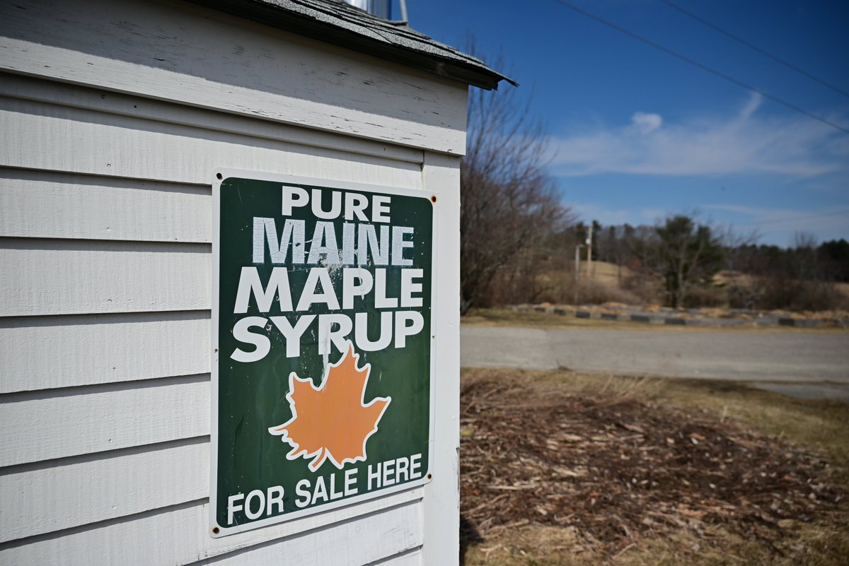 SweetserMaine's tweet photo. It's #MaineMapleWeekend! Did you know our students on the Saco campus produce maple syrup? Story coming soon. https://t.co/idv6i4Ck4O