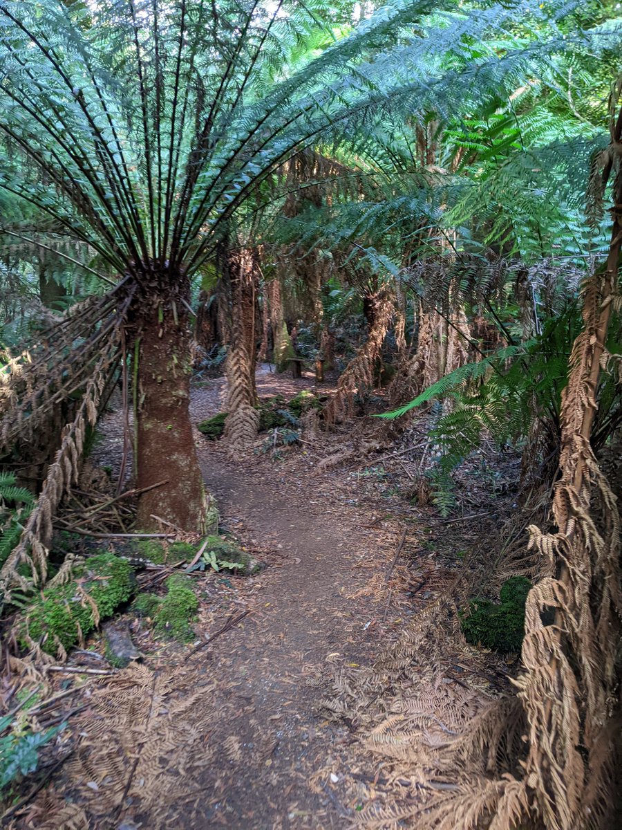 Catherine Young tweet media