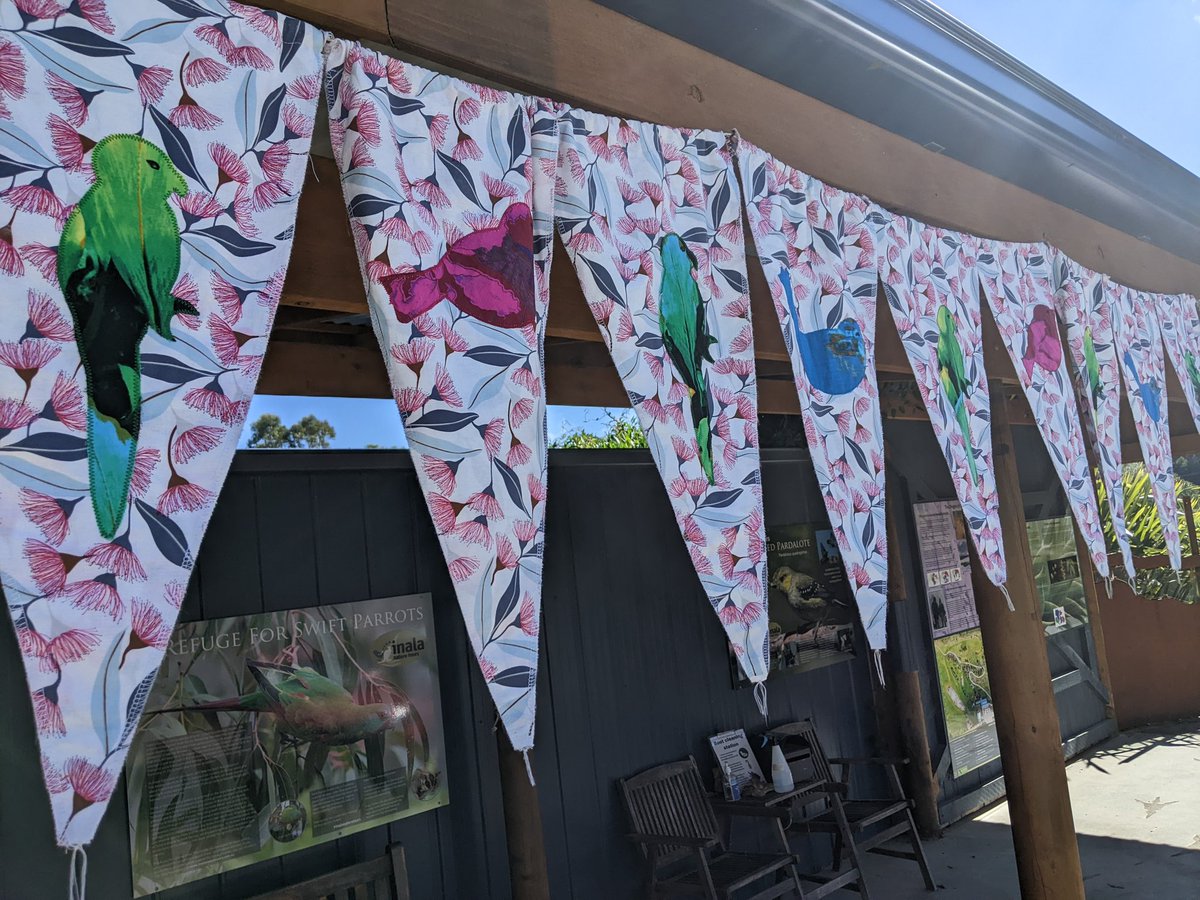 Catherine Young tweet media