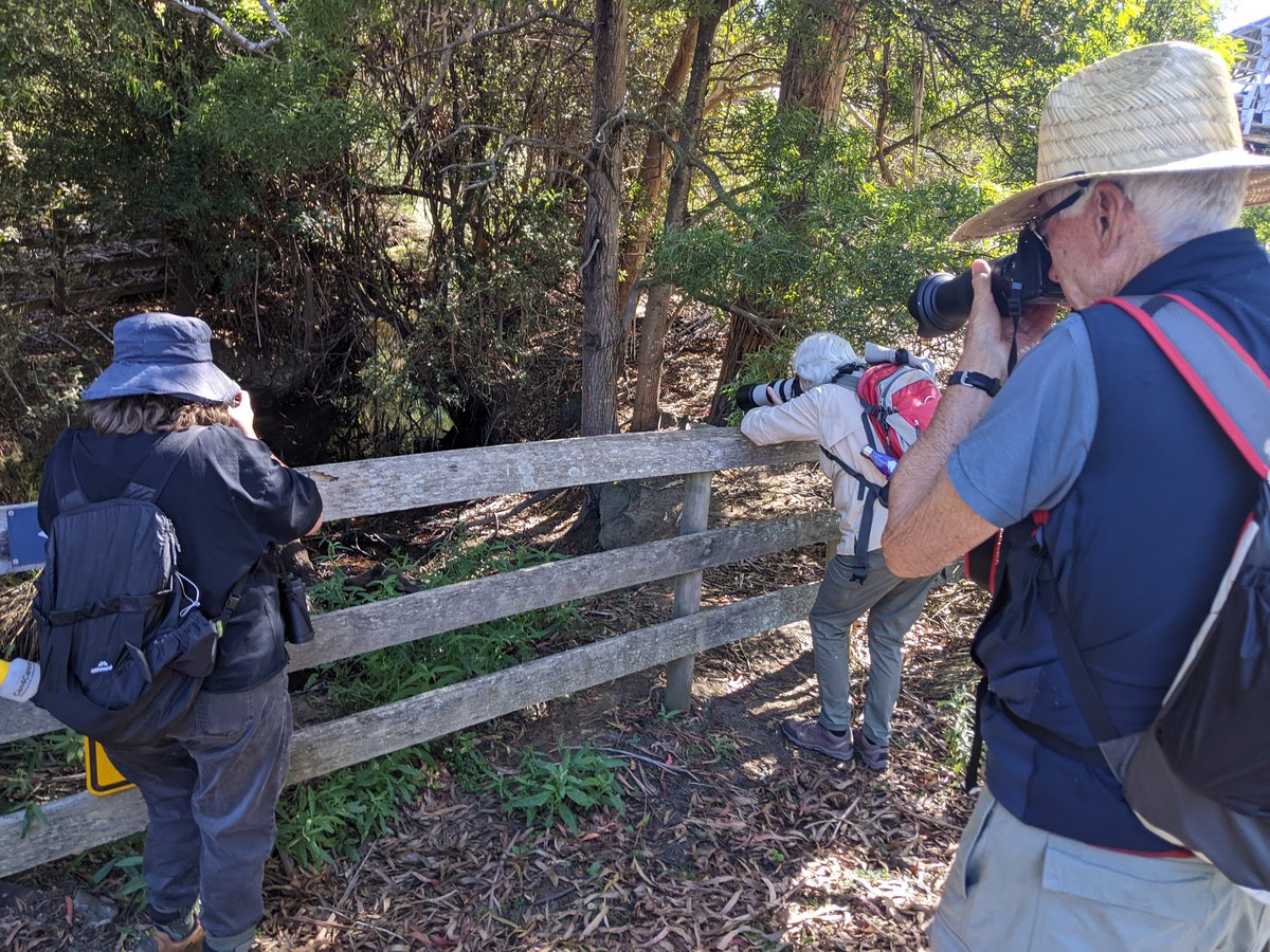 Catherine Young tweet media