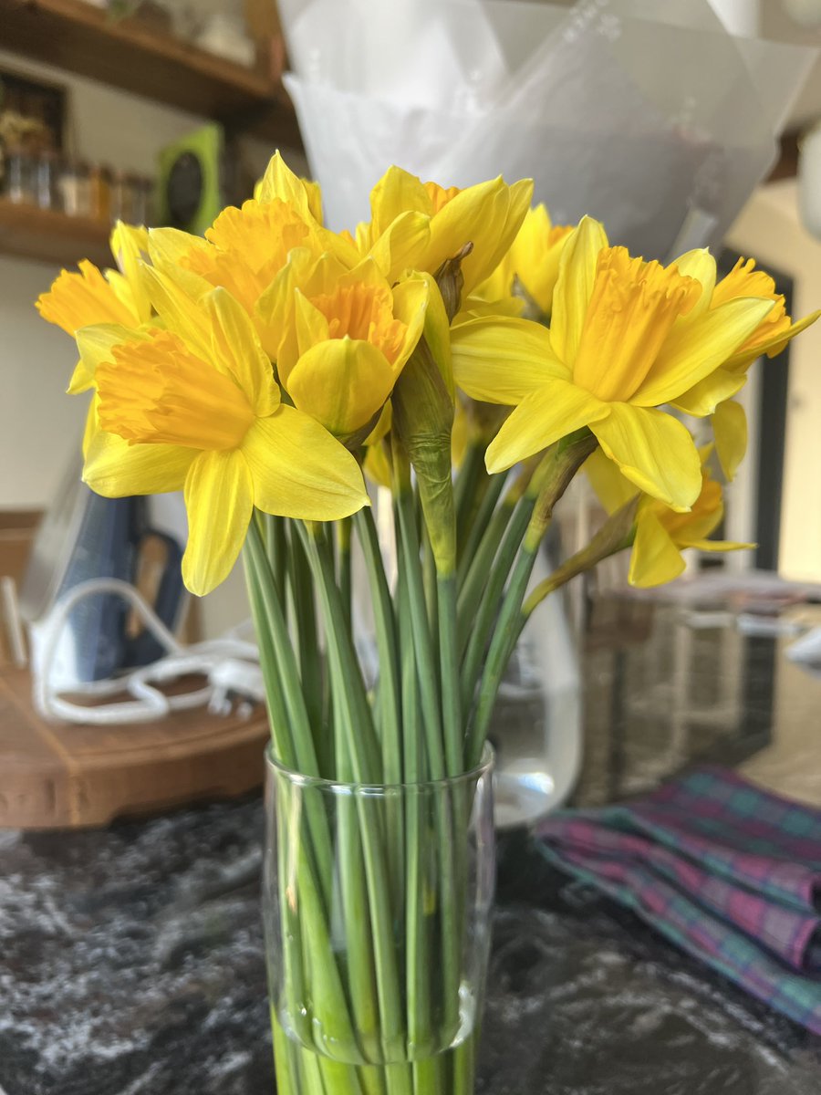 beckyridley's tweet photo. @TranbyReception we went looking for signs of spring in garden today ☀️ 🌺 🌳 https://t.co/vnuLxGdxt5