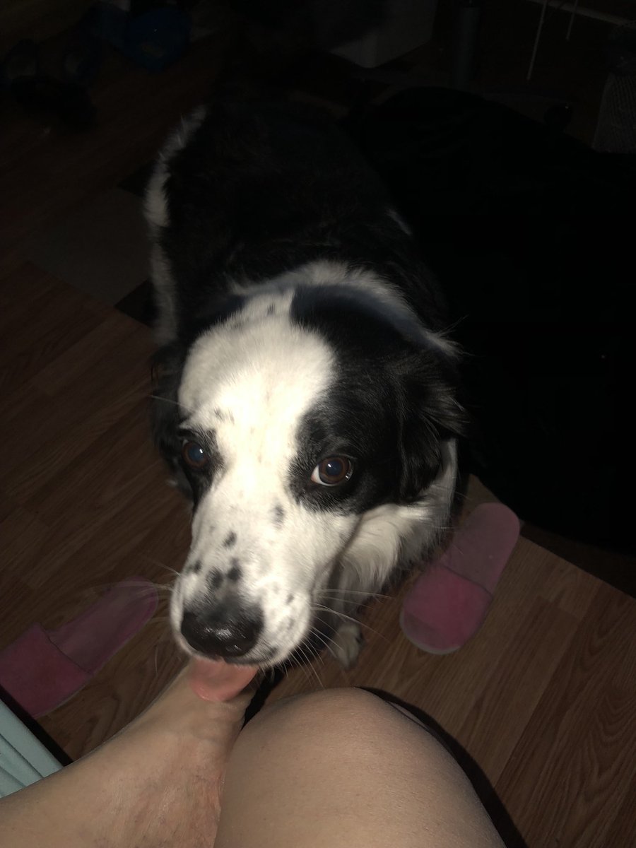 No Brooks I do not want to go on an early morning walk with you on a Sunday. ❤️ I want to sleep 😴 past 6AM. #Ilovethisface.