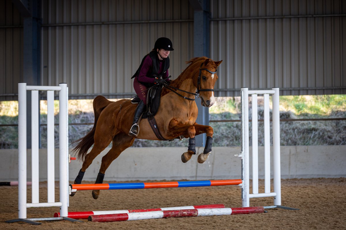 Gsxr1000UKKO's tweet photo. Busy morning at the riding club #horse #pony #johnsmart #training @britishridingclub https://t.co/XpwyLf0bT7