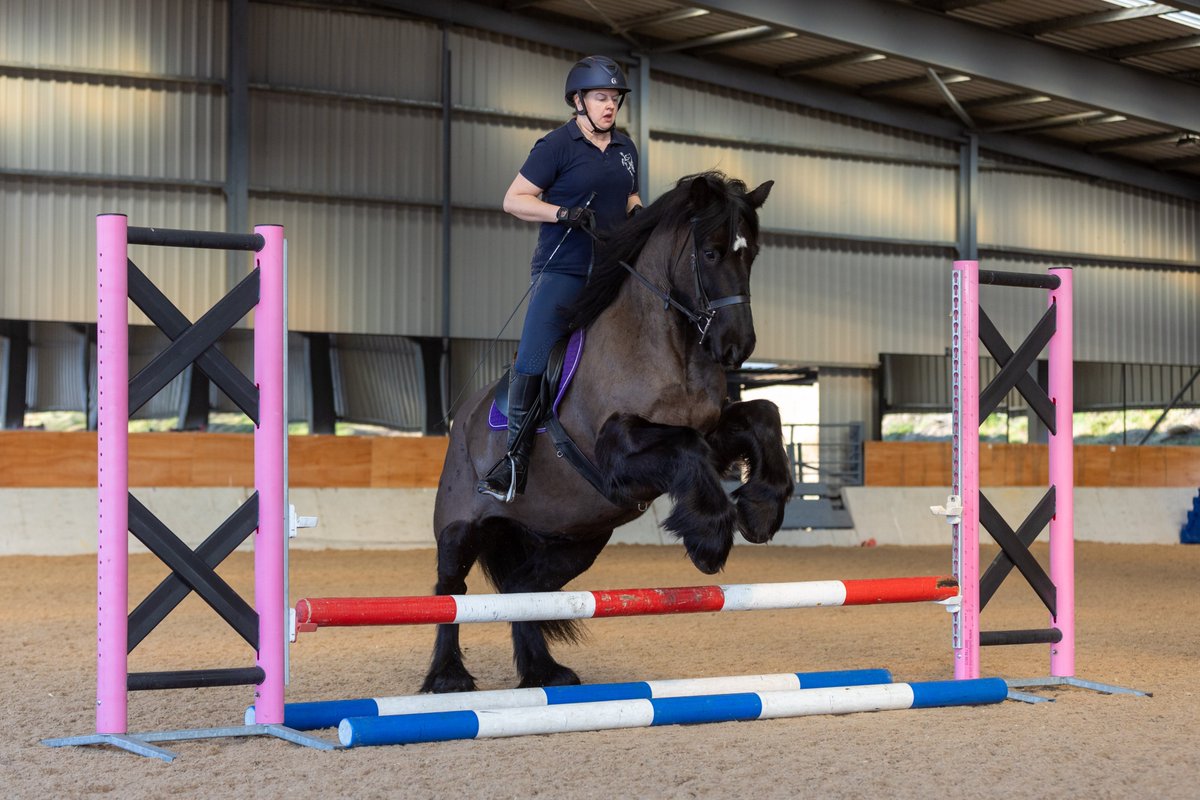 Gsxr1000UKKO's tweet photo. Busy morning at the riding club #horse #pony #johnsmart #training @britishridingclub https://t.co/scrXWEpmym