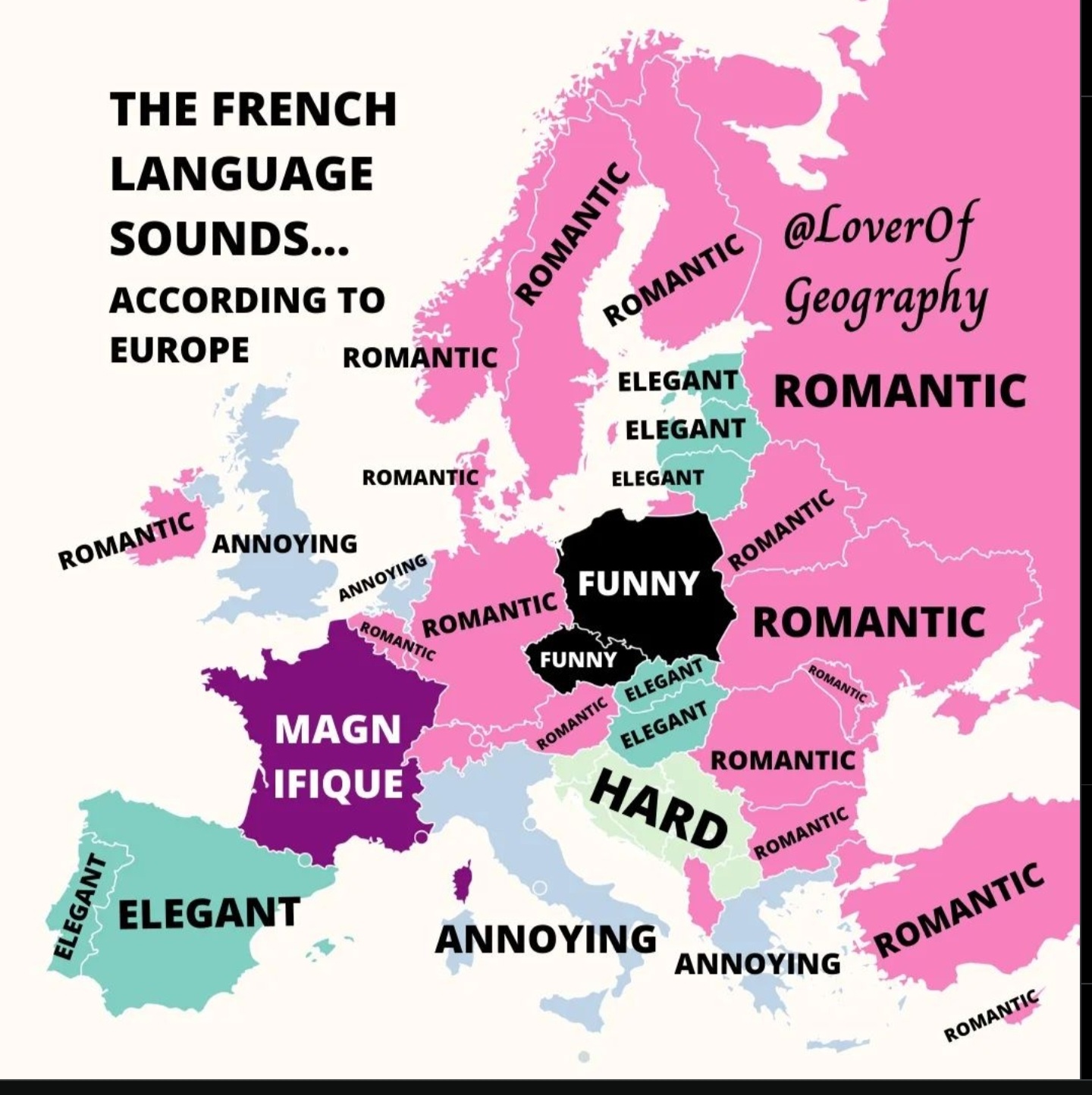 I Speak Fluent French BROWN – Furrtoes