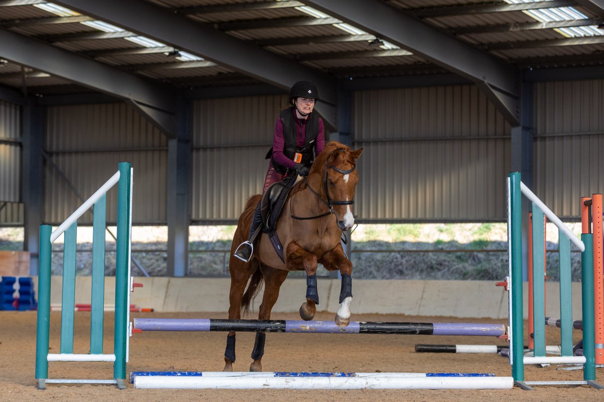 Gsxr1000UKKO's tweet photo. Busy morning at the riding club #horse #pony #johnsmart #training @britishridingclub https://t.co/jBpEZbSc29