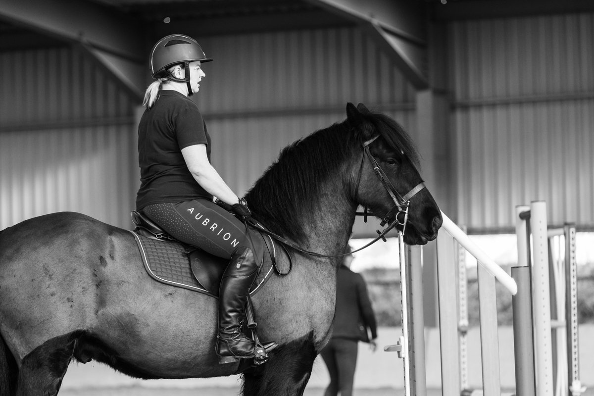 Gsxr1000UKKO's tweet photo. Busy morning at the riding club #horse #pony #johnsmart #training @britishridingclub https://t.co/jBpEZbSc29