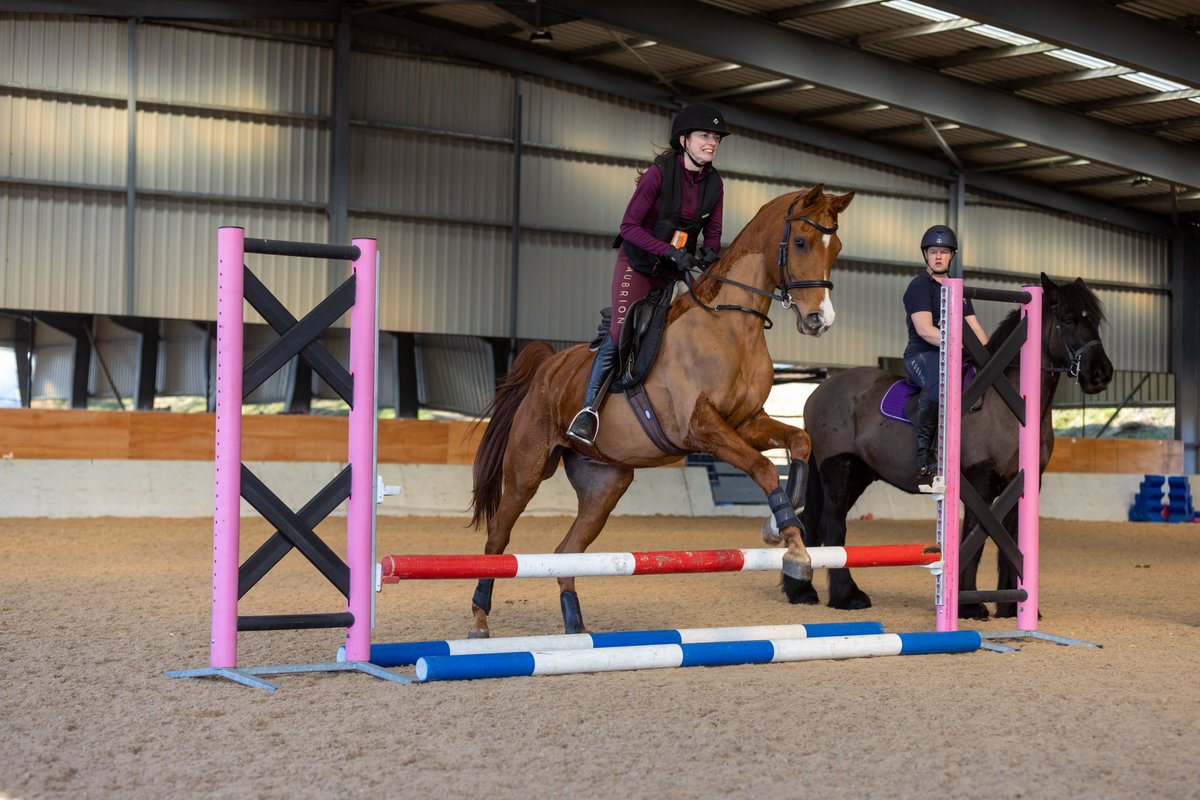 Gsxr1000UKKO's tweet photo. Busy morning at the riding club #horse #pony #johnsmart #training @britishridingclub https://t.co/jBpEZbSc29