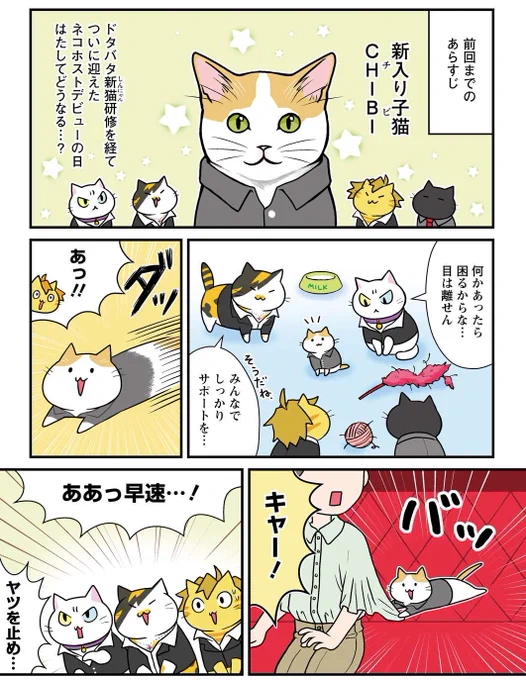 ネコホスト14話を更新して頂きました!
前回の新猫研修の続きです。子猫の作画、気合い入れました。下のリンクからぜひご覧下さい👇
https://t.co/YtB1HhiMB7 