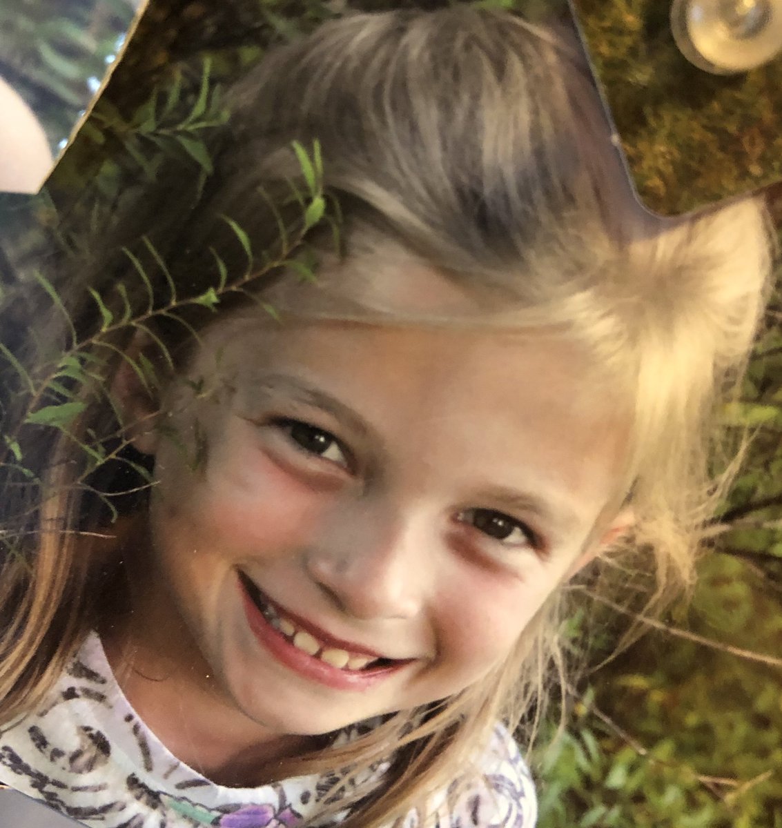 Marlo Schipfer tweet media