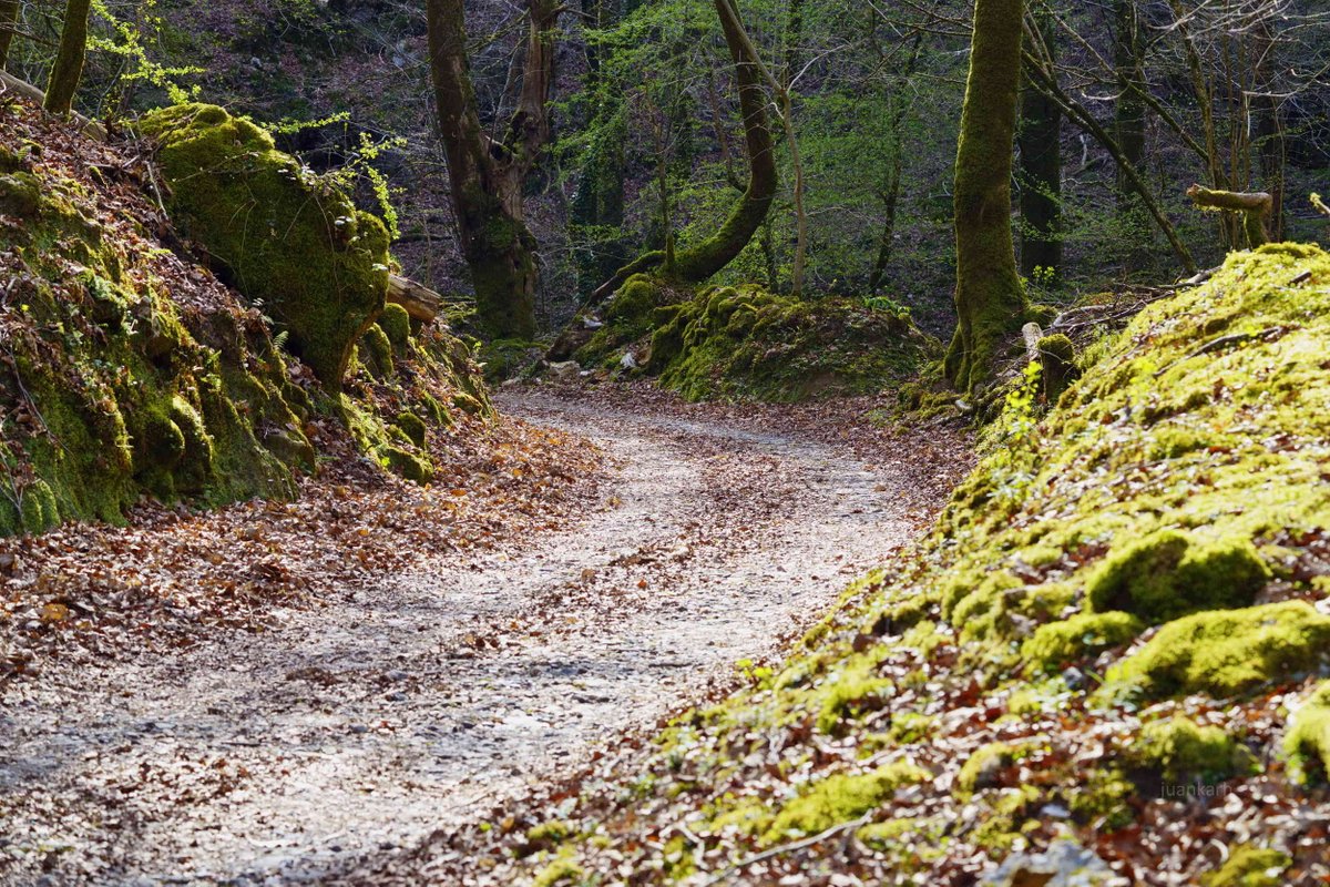 Juankar Hernandez tweet media