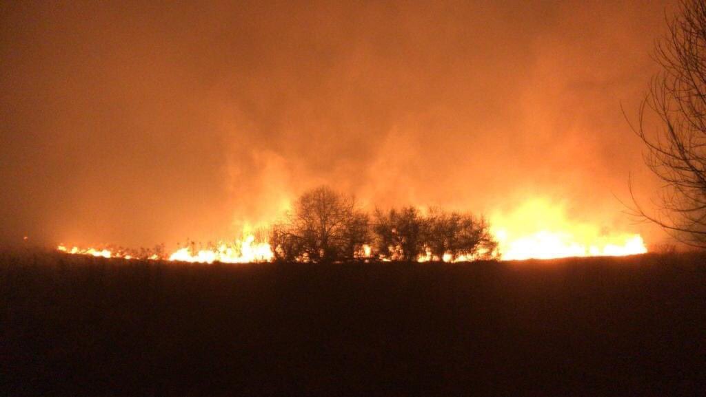 FredParras's tweet photo. das bundesheer meldet: der kampf gegen die borkenkäferplage im waldviertel war ein erfolg auf ganzer linie🔥!
#theonlygoodbugisadeadbug https://t.co/RgabCf3b7f