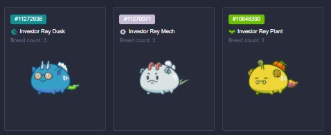 Dogefam Axie Guild tweet media