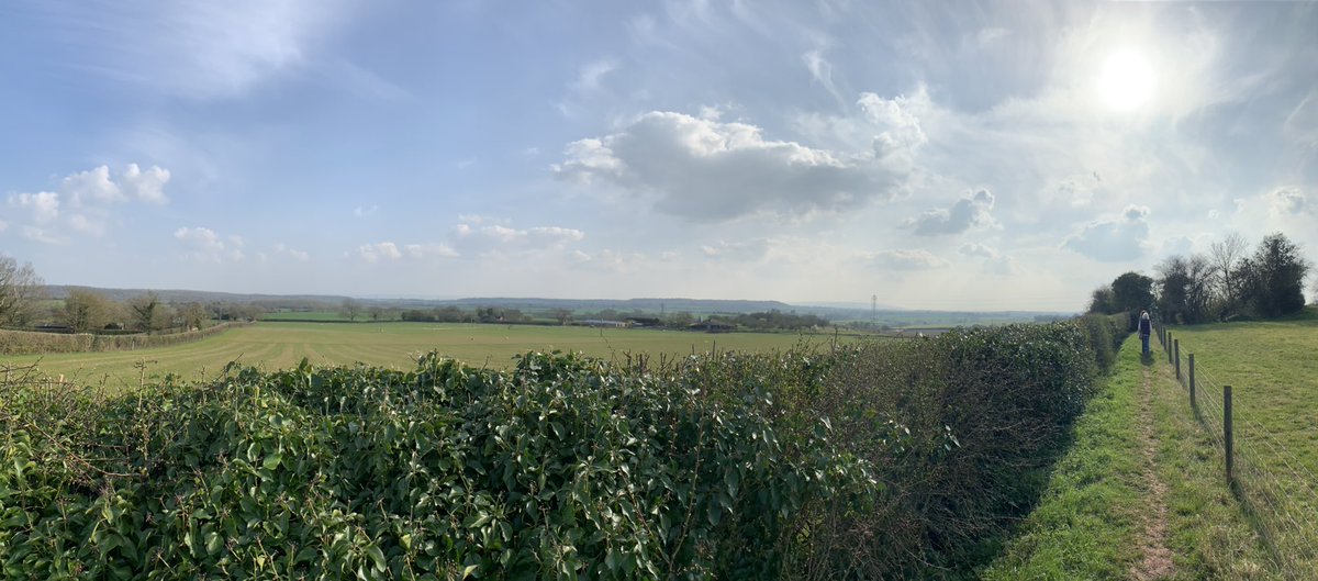 Pat Gaffney tweet media