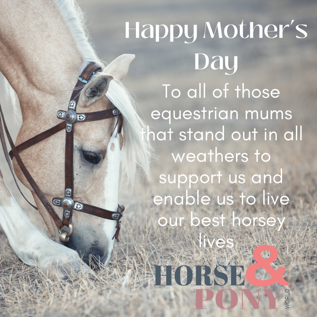 To all the Equestrian Mums who ride or enable others, here’s to you 🐴🌸🌺
#ponyhour #horselife #ponylife
