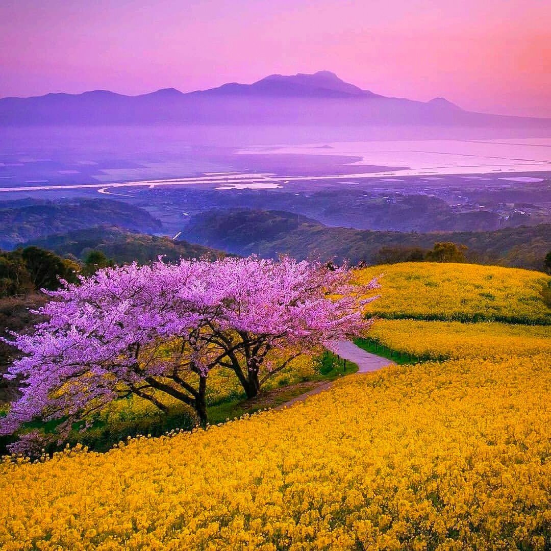 Sofistikada06's tweet photo. .• * ¨ * •. #BuenosDías . • * ¨ * •.

.•*¨*•.😜.•*¨*•.🌞.•*¨*•.🤗 .•*¨*•. https://t.co/hFQ7MDz9lO