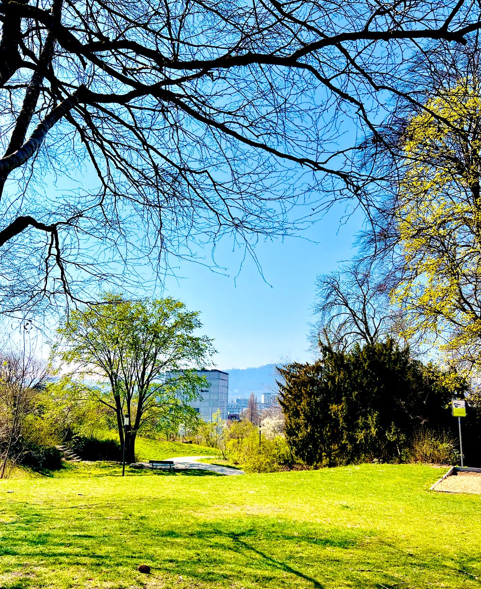 ankeanine's tweet image. Gelb und Blau. Grün für die Hoffnung. Schwarz für die Trauer. 

Sonntagsfarben.