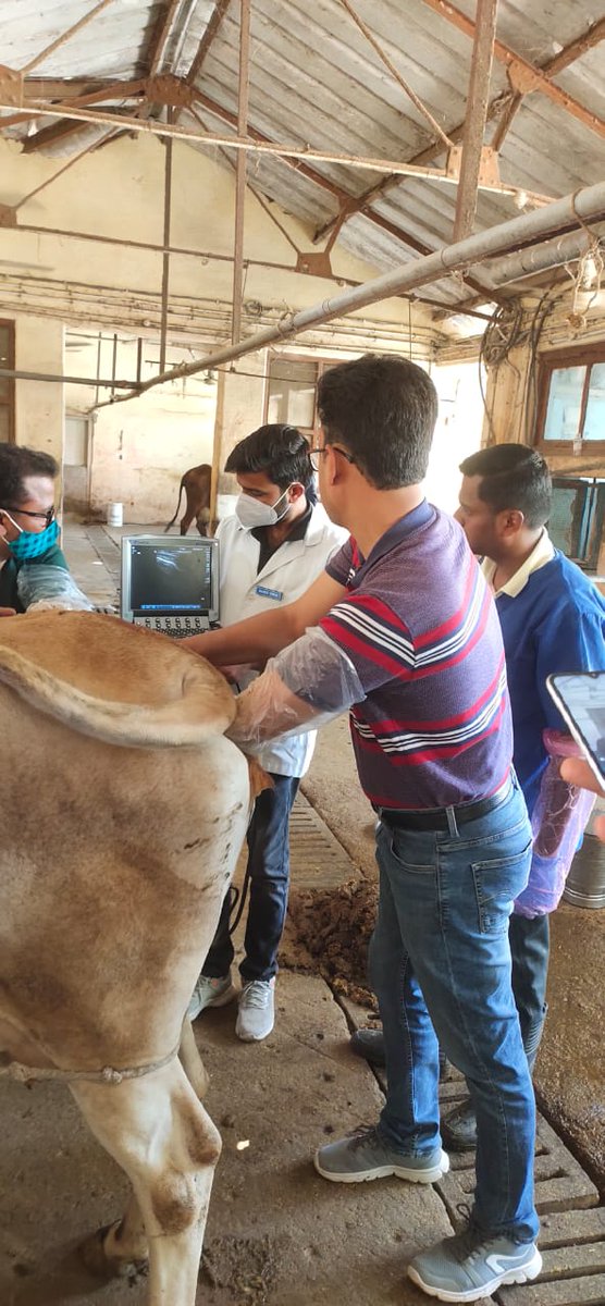 # USG Assisted Pregnancy Diagnosis was done today at Dairy Farm BHU with the objective of screening of cows and to provide hands on training to the Veterinary students and Interns. Special thanks to Dr. Balamurugan, Asst. Prof., Vety. Gynaecology for his effort for the purpose.