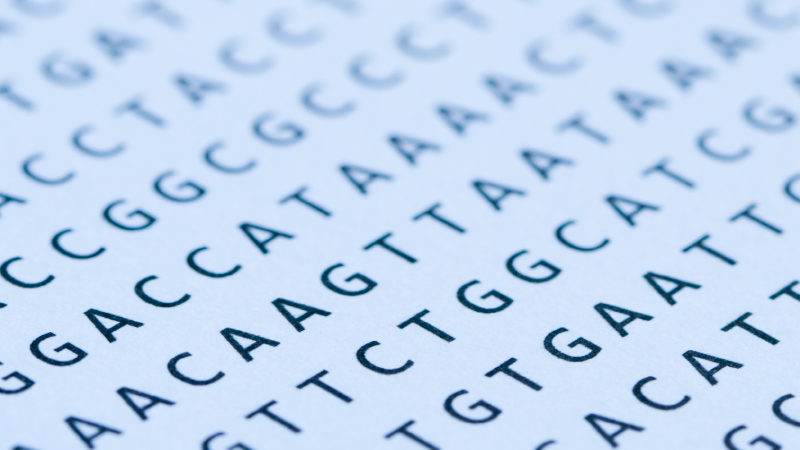 NEW in our blog: Learn about the repeating sequences in our DNA, why they can impact on health and how innovations in genome sequencing are making a diagnostic difference: orlo.uk/VCi8T
#genomics #DNA